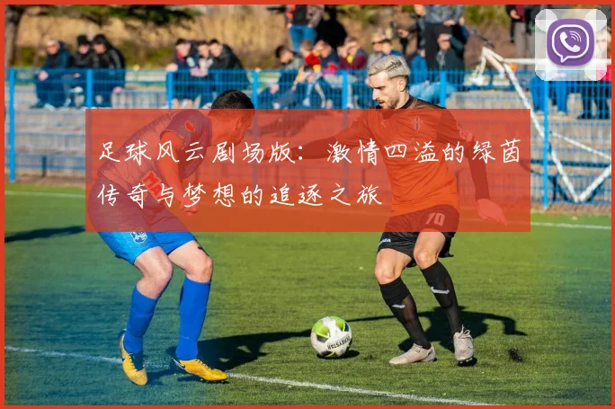 足球风云剧场版：激情四溢的绿茵传奇与梦想的追逐之旅