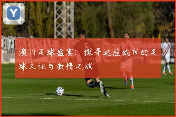 澳门足球盛宴：探寻这座城市的足球文化与激情之旅