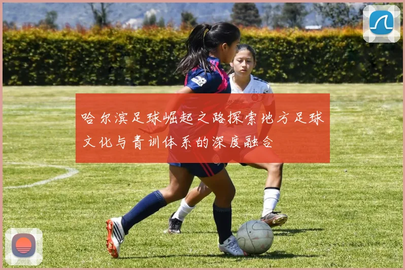 哈尔滨足球崛起之路探索地方足球文化与青训体系的深度融合